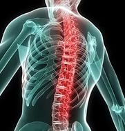 Kezelés vertebrology - mítosz vagy valóság (via) A kezelés gerinc - mítosz vagy valóság?
