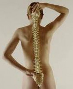 Tratamentul cu vertebrologie - mit sau realitate