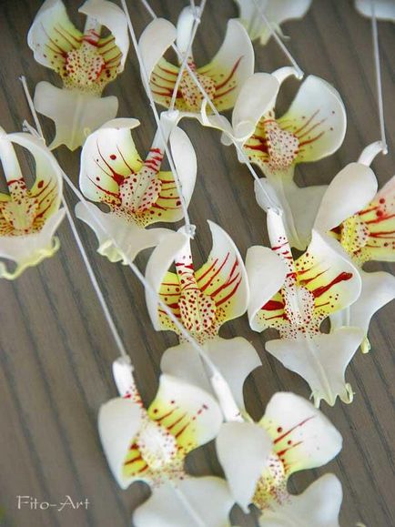 Modellezés phalaenopsis orchidea - Fair Masters - kézzel készített, kézzel készített