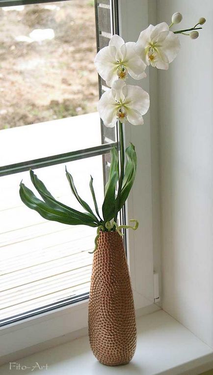 Modellezés phalaenopsis orchidea - Fair Masters - kézzel készített, kézzel készített