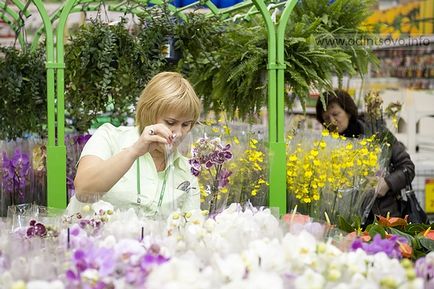 Леруа Мерлен Юдін як доїхати