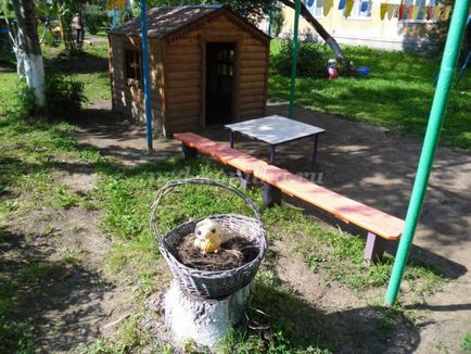 Nyári távolság részben a vezető csoport a kezüket a GEF fotó (regisztráció) Nyári távolság részben a vezető csoport a kezüket a GEF fotókkal