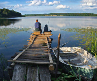 Catching sügér donk