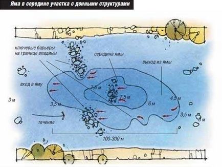 Ловля судака на джиг - тактика і техніка лову