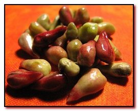 Ulei de semințe de struguri pentru față, cum se utilizează proprietățile benefice, aplicațiile și recenziile