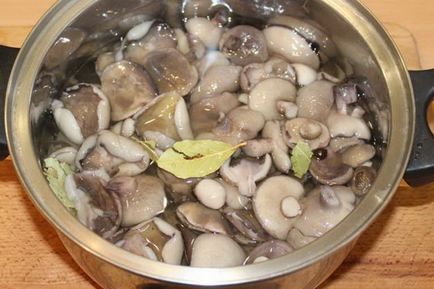 Ovăz, conservat pentru rețetele de iarnă, cum să păstreze ciupercile de unt acasă