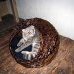 Майстер-клас будиночок для кішки з газетних трубочок, відео