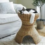 Майстер-клас будиночок для кішки з газетних трубочок, відео