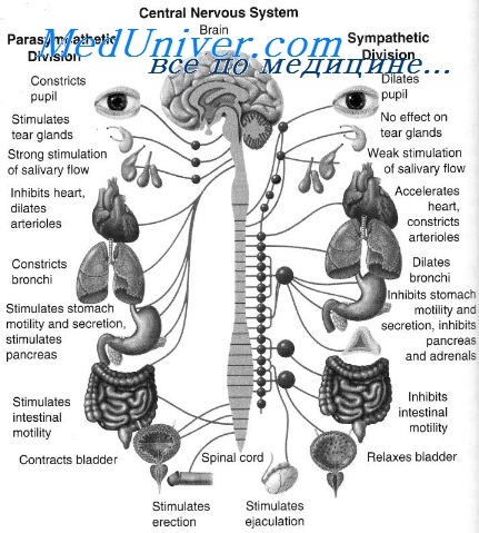 Myasthenia gravis