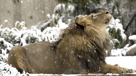 Minsk Zoo, Minsk