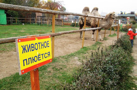 Мінський зоопарк, минск