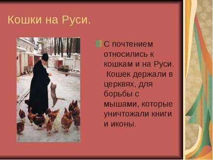 Світ домашніх кішок презентацію підготувала учениця 1 Б класу