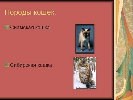 Світ домашніх кішок презентацію підготувала учениця 1 Б класу