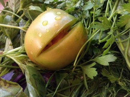 Ecetes zöld paradicsom fűszerekkel és fokhagymával, szinte Grúziában