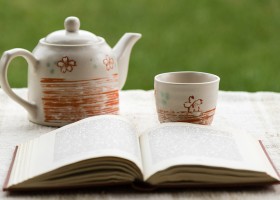 Монастирський чай при алергії ефективність, відгуки