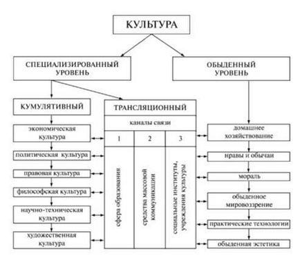 Morfologia culturii