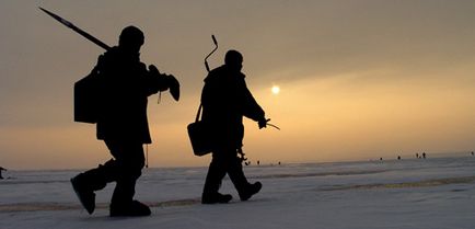 Блешня для початківців