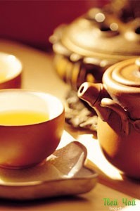 Tudom használni Puer fogyasztó hatású tea, mítoszok és a valóság
