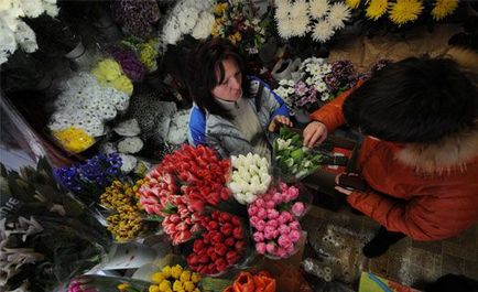 Men március 8., hogyan kell választani tulipán és rózsa hírek - az enyém! voronezh Online