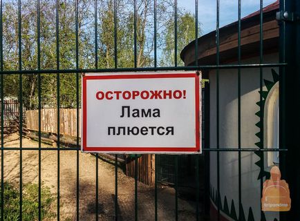 Нижегородський зоопарк «лімпопо»