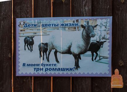 Gradina zoologica din Nizhny Novgorod 