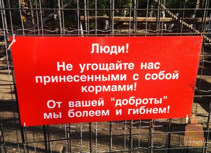 Нижегородський зоопарк «лімпопо»