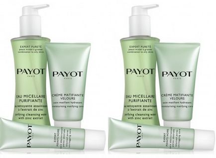 Az új vonal a zsíros és problémás bőrre szakértő Purete származó Payot