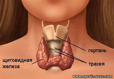 Нпцріз - ваш шлях до активного довголіття!