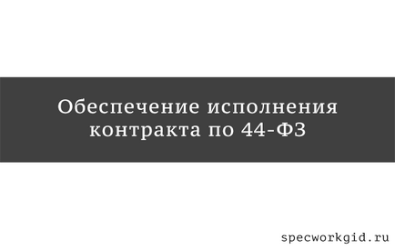 Asigurarea executării contractului pentru 44-FZ - ce trebuie să știți