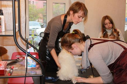 Training grooming - cursuri profesionale groomer în grădina zoologică