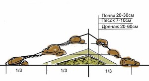 Облаштування альпійської гірки своїми руками види дизайну і правила споруди, покрокове