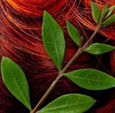 Colorarea părului Henna