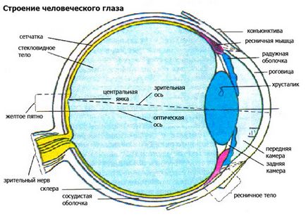 Sistem optic al ochiului