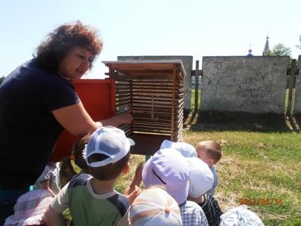 Organizarea unui sit meteorologic pe teritoriul dhow