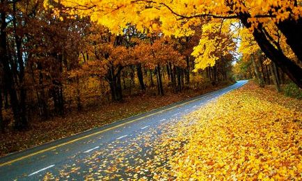 Осіннє листя на дорозі - як їздити - поради водію - статті і огляди - automotobike