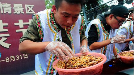 Caracteristicile culturii chineze în fotografii nu sunt pentru cei slabi (gătit câini vii, prăjiți