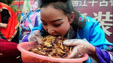 Caracteristicile culturii chineze în fotografii nu sunt pentru cei slabi (gătit câini vii, prăjiți