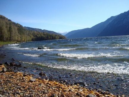 Se odihnește pe lacul Teletskoye din Altai