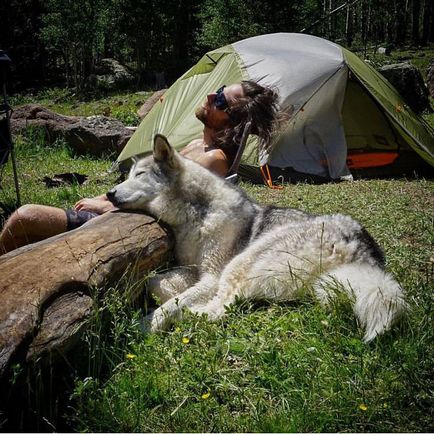 Vacanțe cu câini în natură