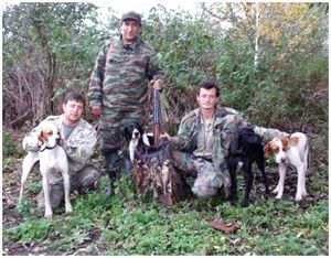 Полювання на вальдшнепа з собакою - виживання в дикій природі і екстремальних ситуаціях