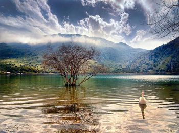 Lake kurnas (krit) cum ajungeți la, fotografii, recenzii