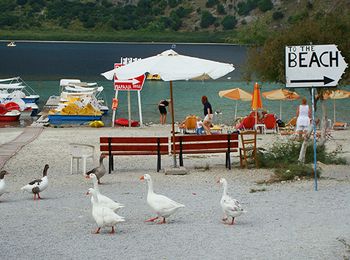 Lake kurnas (krit) cum ajungeți la, fotografii, recenzii