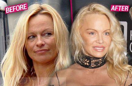 Pamela Anderson 2017