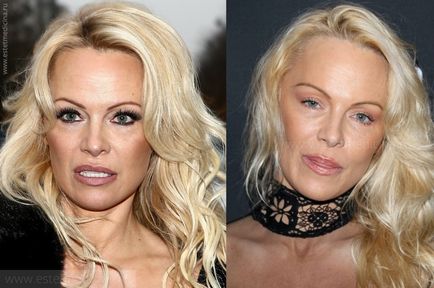 Pamela Anderson 2017