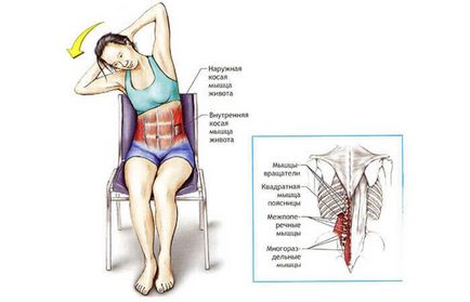 Перенапруження квадратної м'язи попереку - усуваємо причину болю в спині