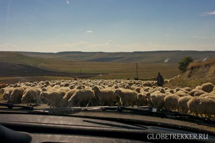 Barlang kolostor David Gareji-utazás magad, hogyan lehet, hogy a megjelenés, ahol aludni, hogy