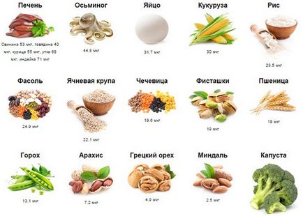 Харчування для поліпшення спермограми, корисні продукти і дієта