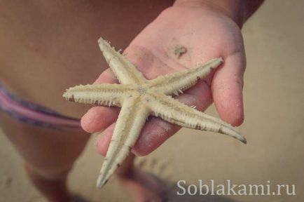 Beach tuba kabak, krabi fotografie, recenzii, hartă