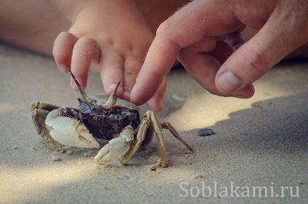 Beach tuba kabak, krabi fotografie, recenzii, hartă