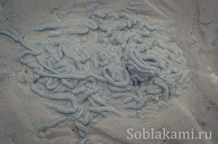 Beach tuba kabak, krabi fotografie, recenzii, hartă